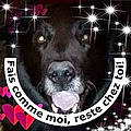 Sandrine O.