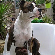 Mari-k a rejoint le concours — aidez-le/la à gagner de superbes lots !