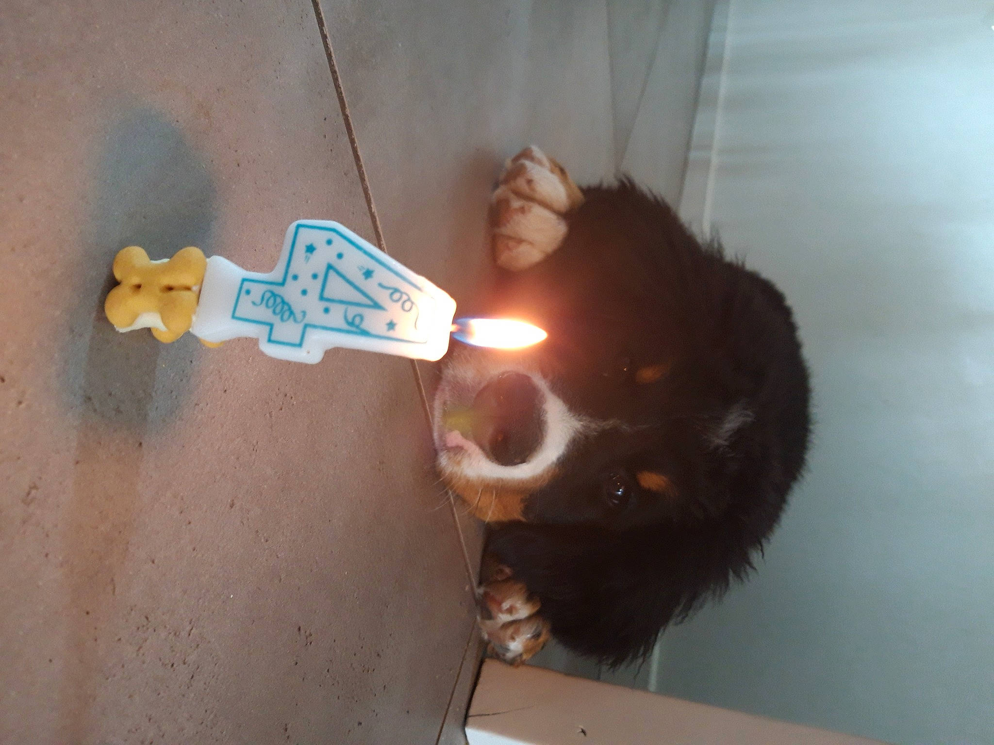 Roméo participe au concours pour gagner de l'argent avec cette photo :