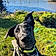 Charlie
