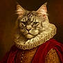 animal, artistic, brown_background, cat, closeup, costume, dignified, dressed_up, fashion, feline, fur, historical_style, indoor, majestic, portrait, red_cloak, regal, renaissance, ruffled_collar, serious