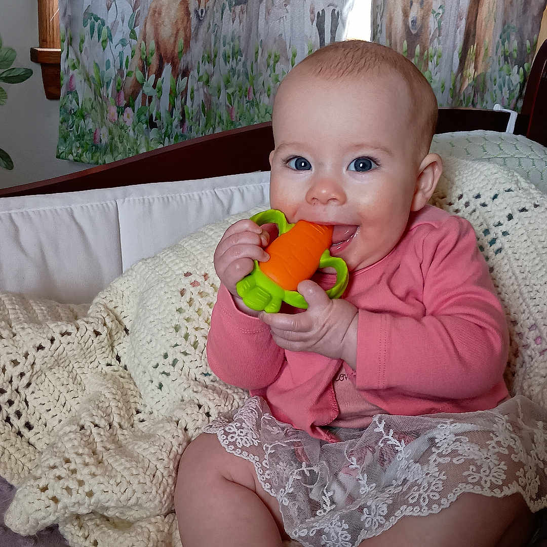 Maryanna joined the competition — help win amazing prizes! baby, bear, blanket, blue_eyes, carrot_toy, child, curtain, cute, deer, forest_animals, fox, happy, indoor, infant, pink_clothing, portrait, sitting, smiling, soft_lighting, toy