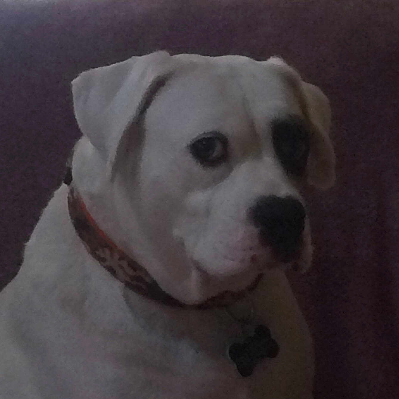 Sam joined the competition — help win amazing prizes!