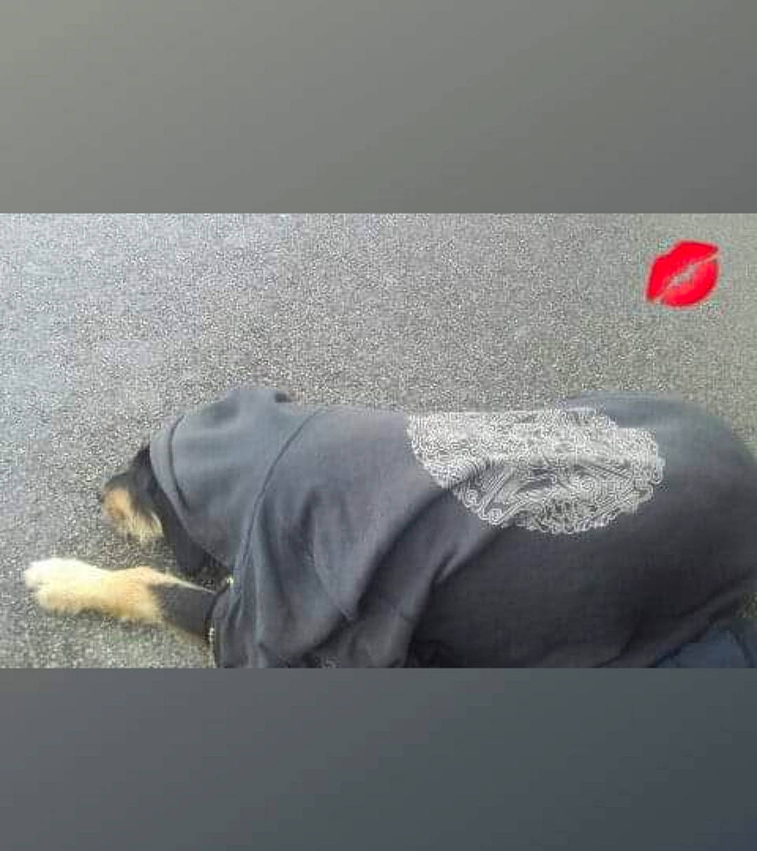 Douce participe au concours pour gagner de l'argent avec cette photo : comfort, fashion_accessory, joint, sportswear, textile