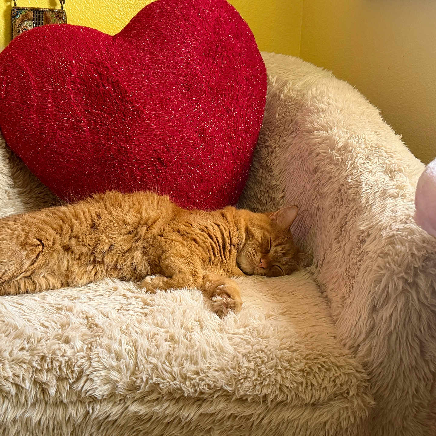 Hamhawk joined the competition — help win amazing prizes! cat, orange_cat, sleeping, fluffy, armchair, plush, heart_pillow, red_pillow, cozy, indoor, furniture, yellow_wall, pet, relaxing, cute, soft_texture, resting, domestic_animal, warm_lighting, comfortable