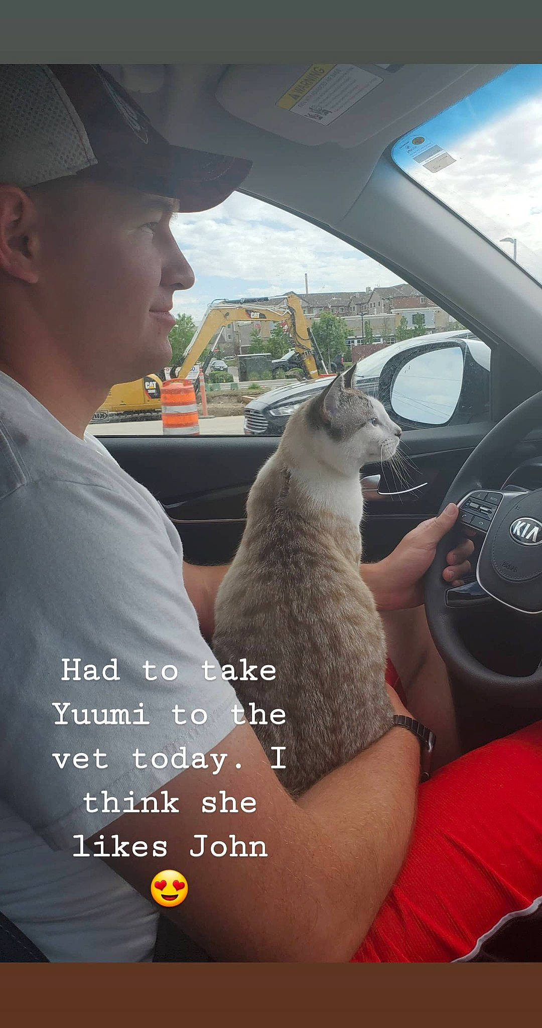 Yuumi is registered to the contest to win money with this photo: car, car_seat, cat, driving, felidae, photo_caption, photography, small_to_medium_sized_cats, vehicle, vehicle_door, whiskers, wildlife