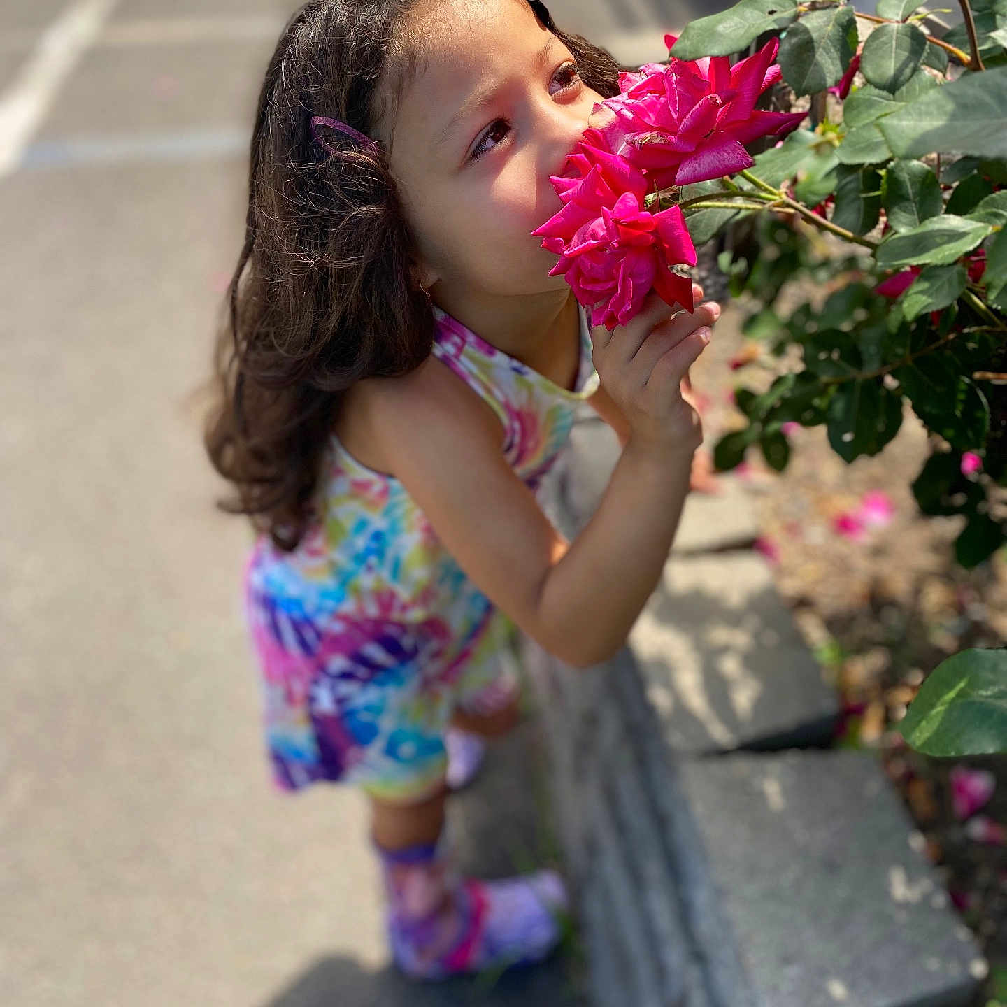 Saniyalyce is registered to the contest to win money with this photo: child, city, clothing, dress, face, female, flower, geranium, girl, head, person, petal, photography, plant, portrait, pottedplant, road, smelling, street, urban
