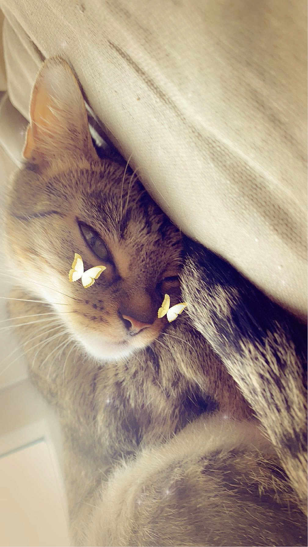 Belle