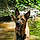 Arko