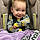 Paxton