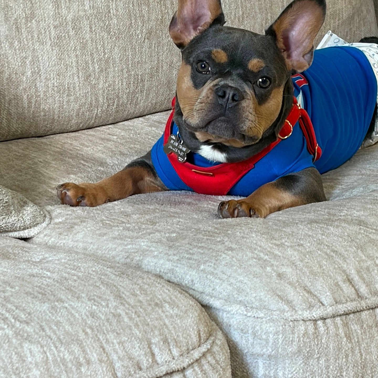 Clyde
