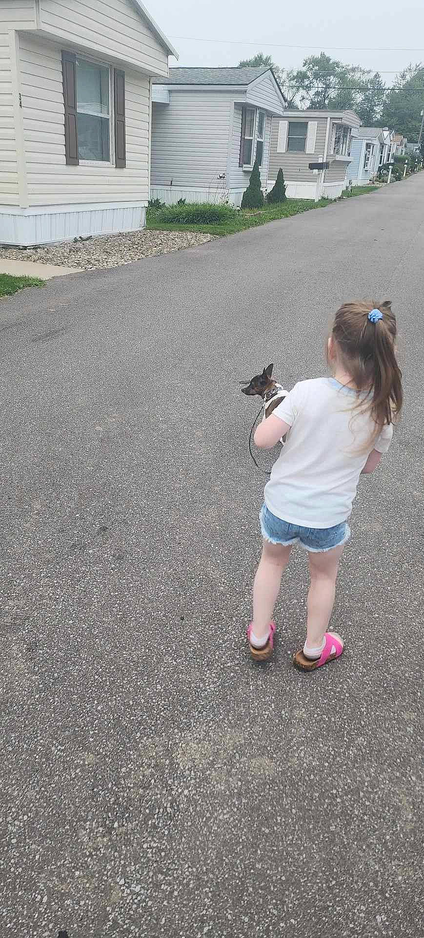 Aurora King is registered to the contest to win money with this photo: asphalt, child, driveway, fun, grass, landscape, pattern, person, plant, recreation, road, road_surface, sandal, shorts, sidewalk, soil, t_shirt, tar, toddler, tree