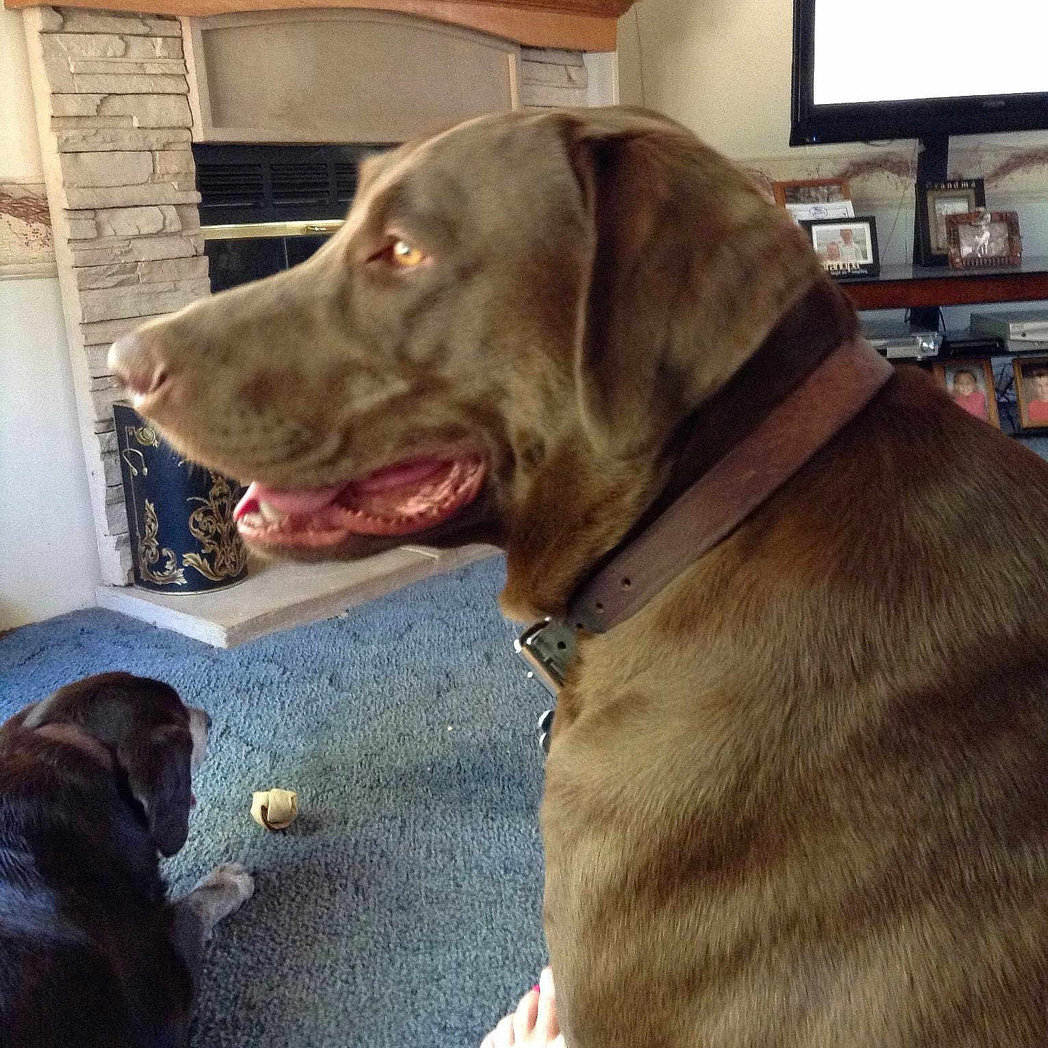 Jake joined the competition — help win amazing prizes!