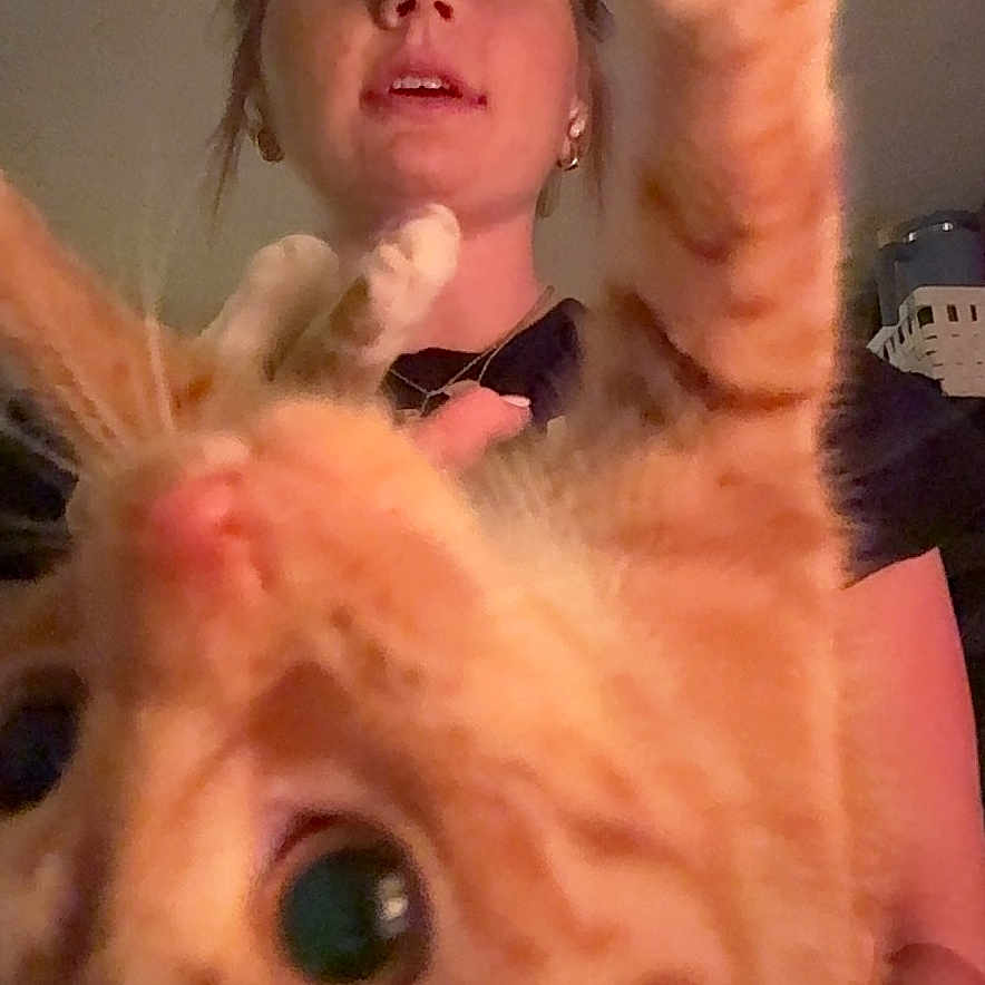 Baby is registered to the contest to win money with this photo: animal, casual, cat, close_up, curious, cute, face, feline, friendly, home, indoor, interaction, orange_tabby, paw, person, pet, playful, smiling, woman, young_adult