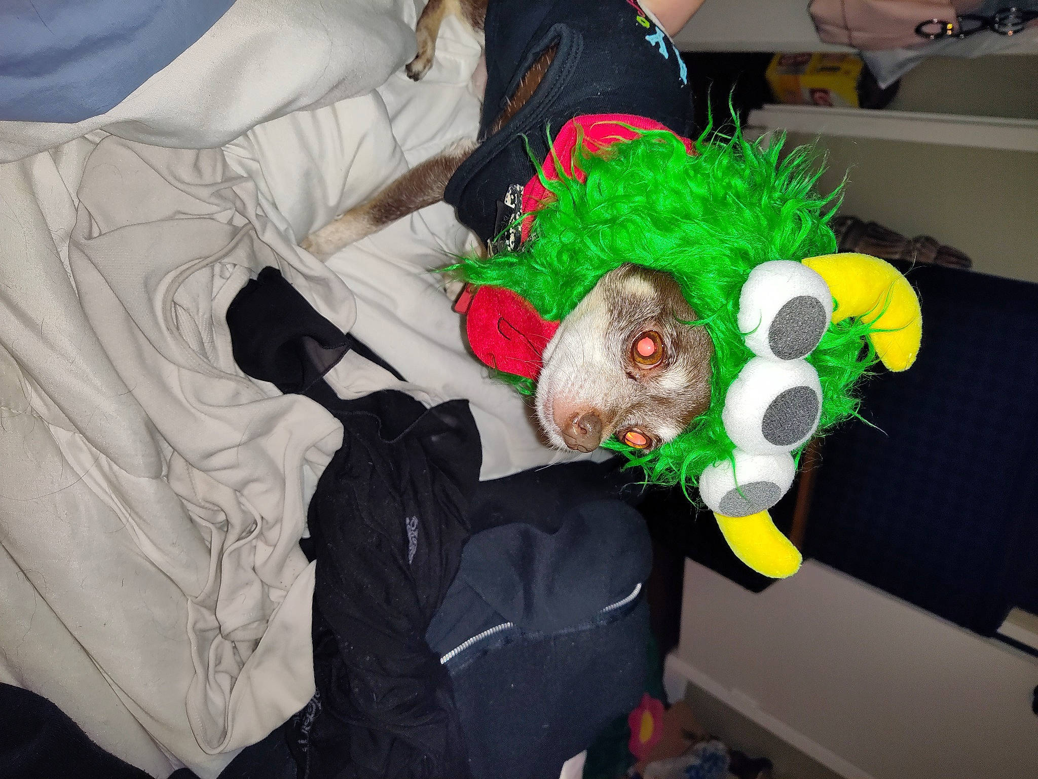 Gizmo joined the competition — help win amazing prizes! costume, fictional_character