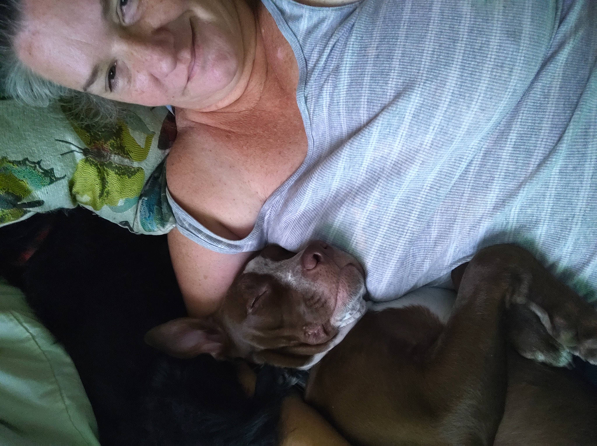 Grizzly is registered to the contest to win money with this photo: canidae, carnivore, fawn, mouth, pointing_breed, puppy, sporting_group, weimaraner