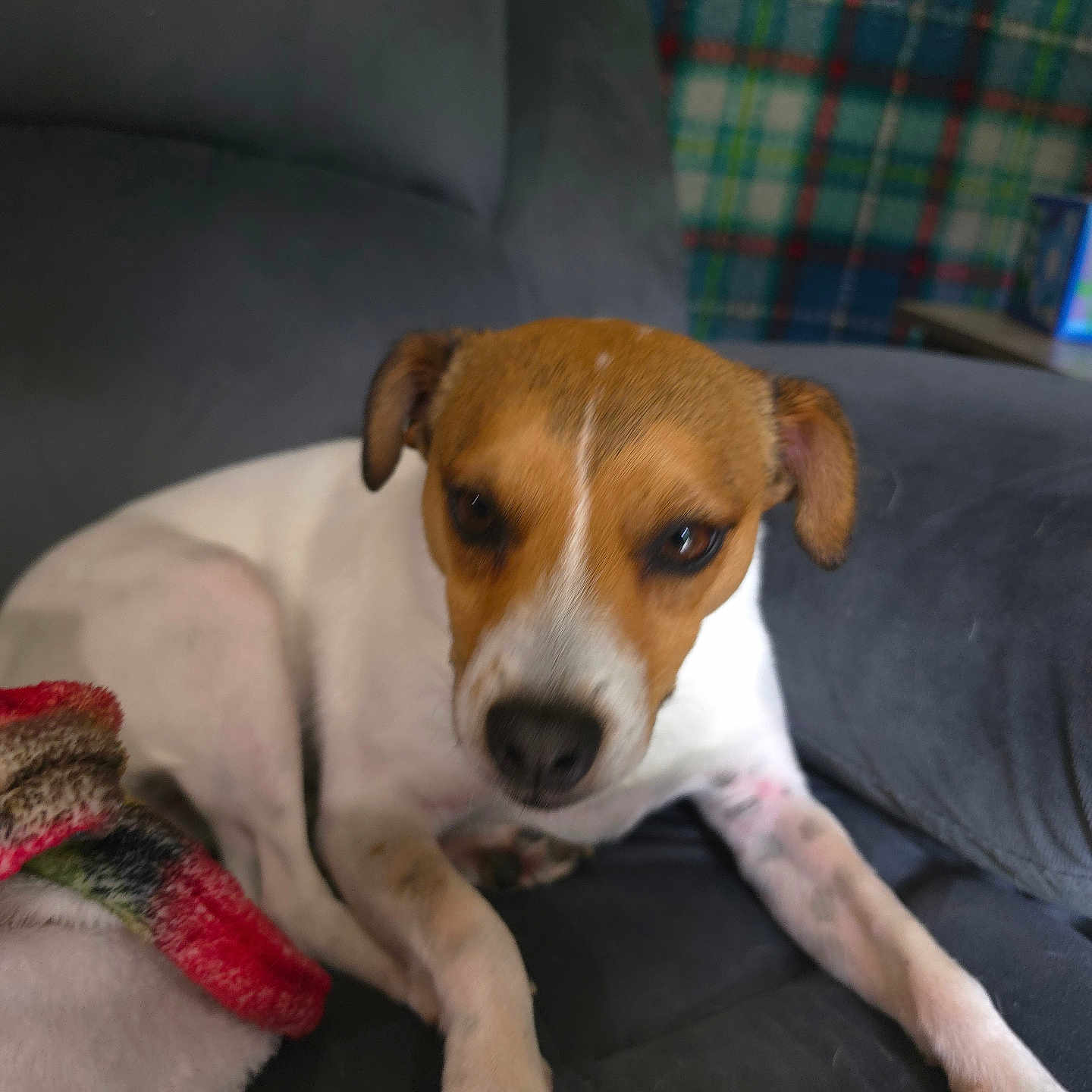 Benny