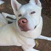 Esko is registered to the contest to win money with this photo: