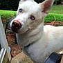 Esko is registered to the contest to win money with this photo:
