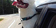 Esko is registered to the contest to win money with this photo: