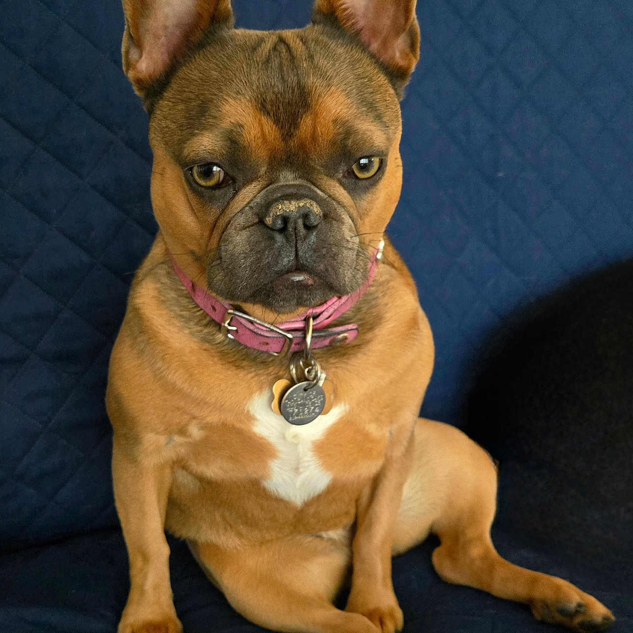 Chloe
