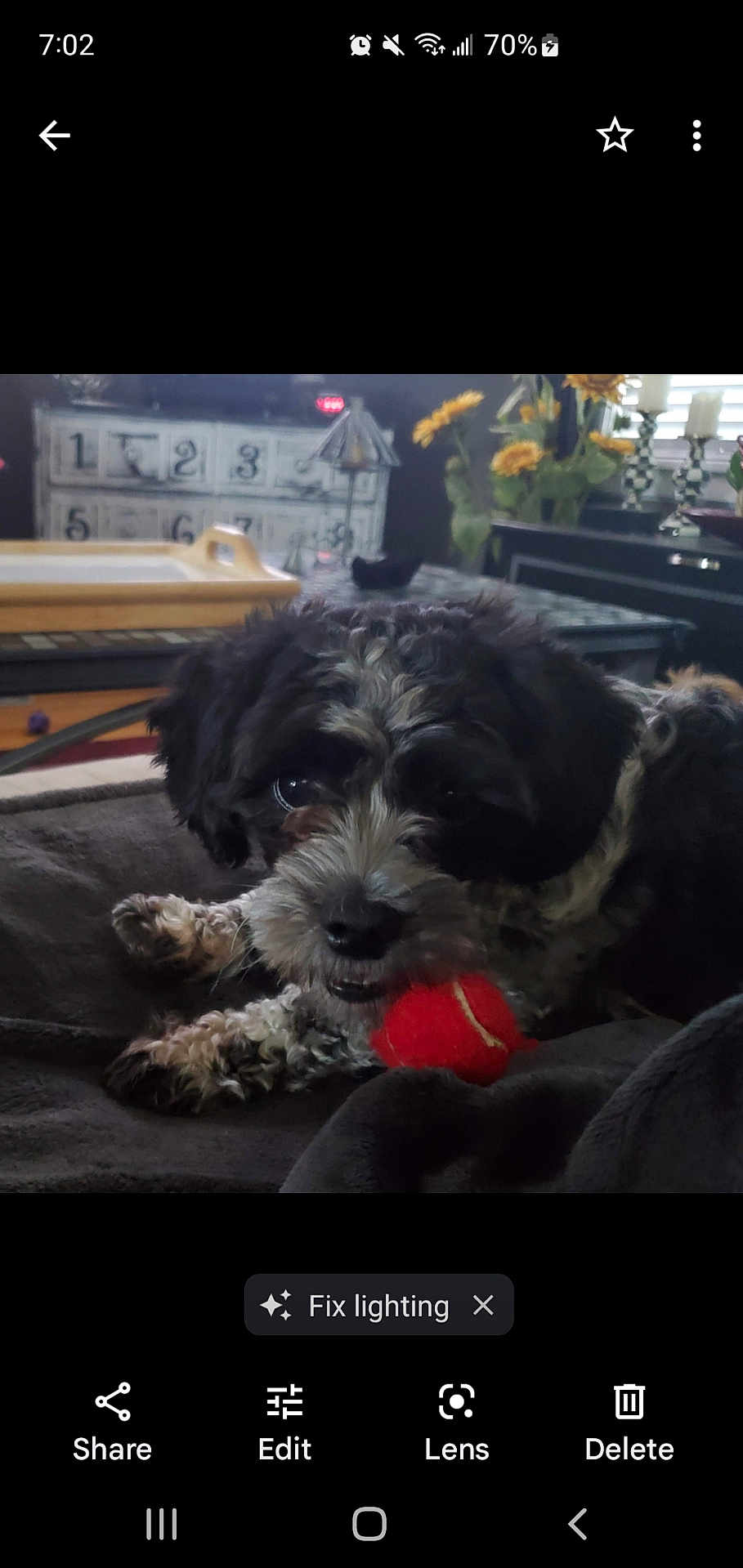 Lucy