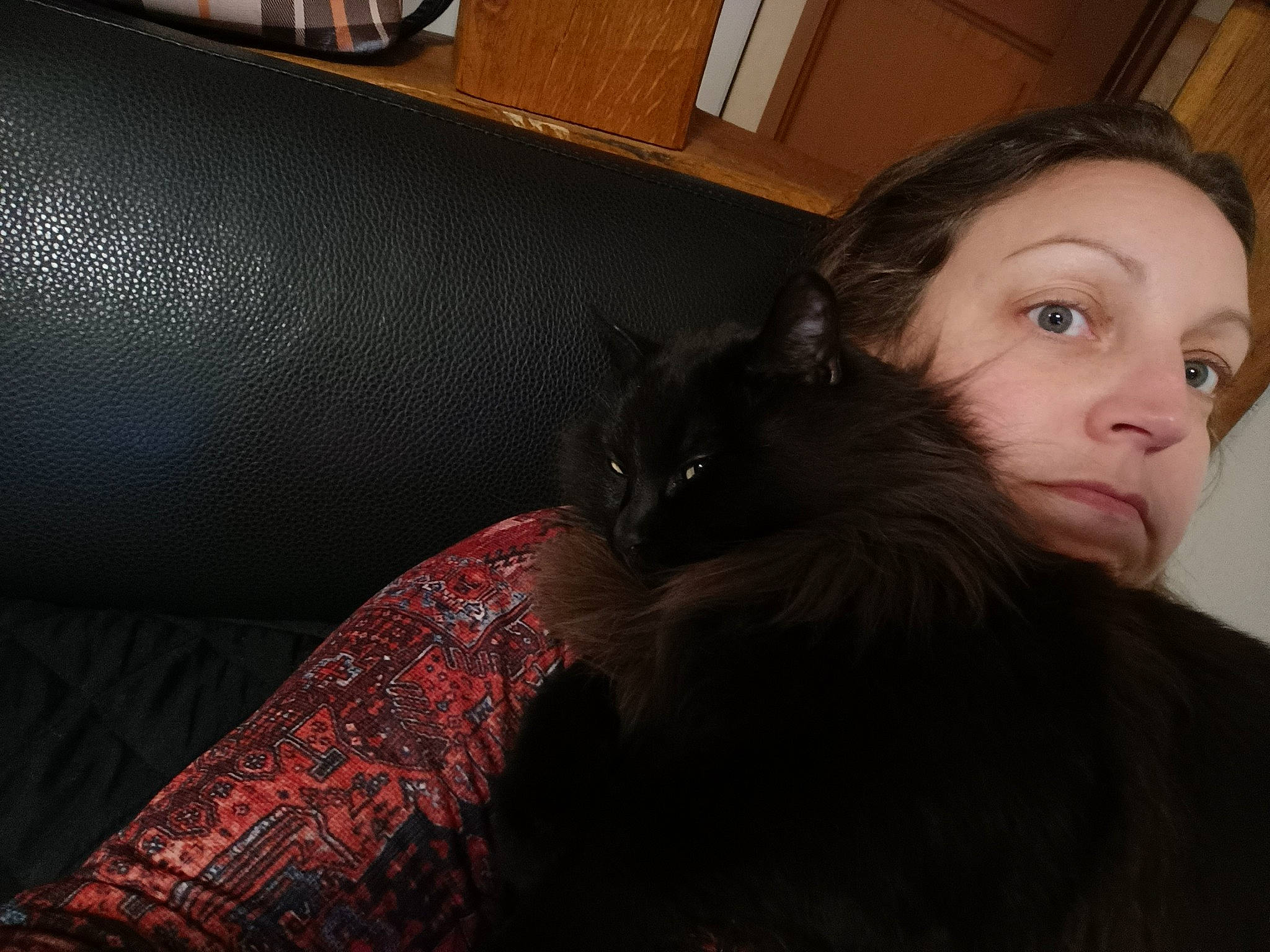 Nao participe au concours pour gagner de l'argent avec cette photo : black_hair, carnivore, cat, comfort, companion_dog, dog_breed, ear, eye, eyelash, fawn, gesture, hair, head, human_body, iris, lip, mouth, nose, skin, whiskers