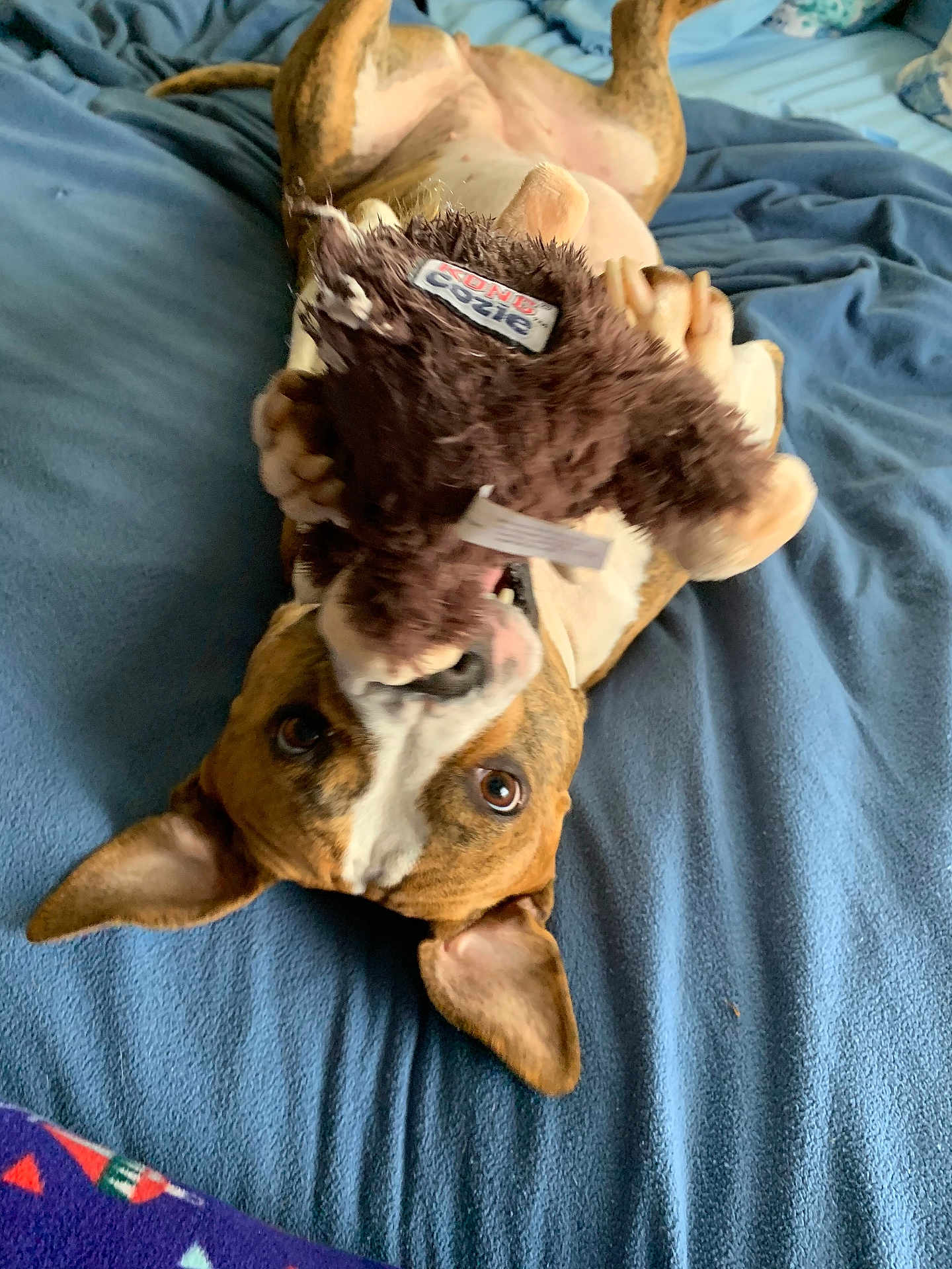 Chloe