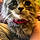 Torrie R.