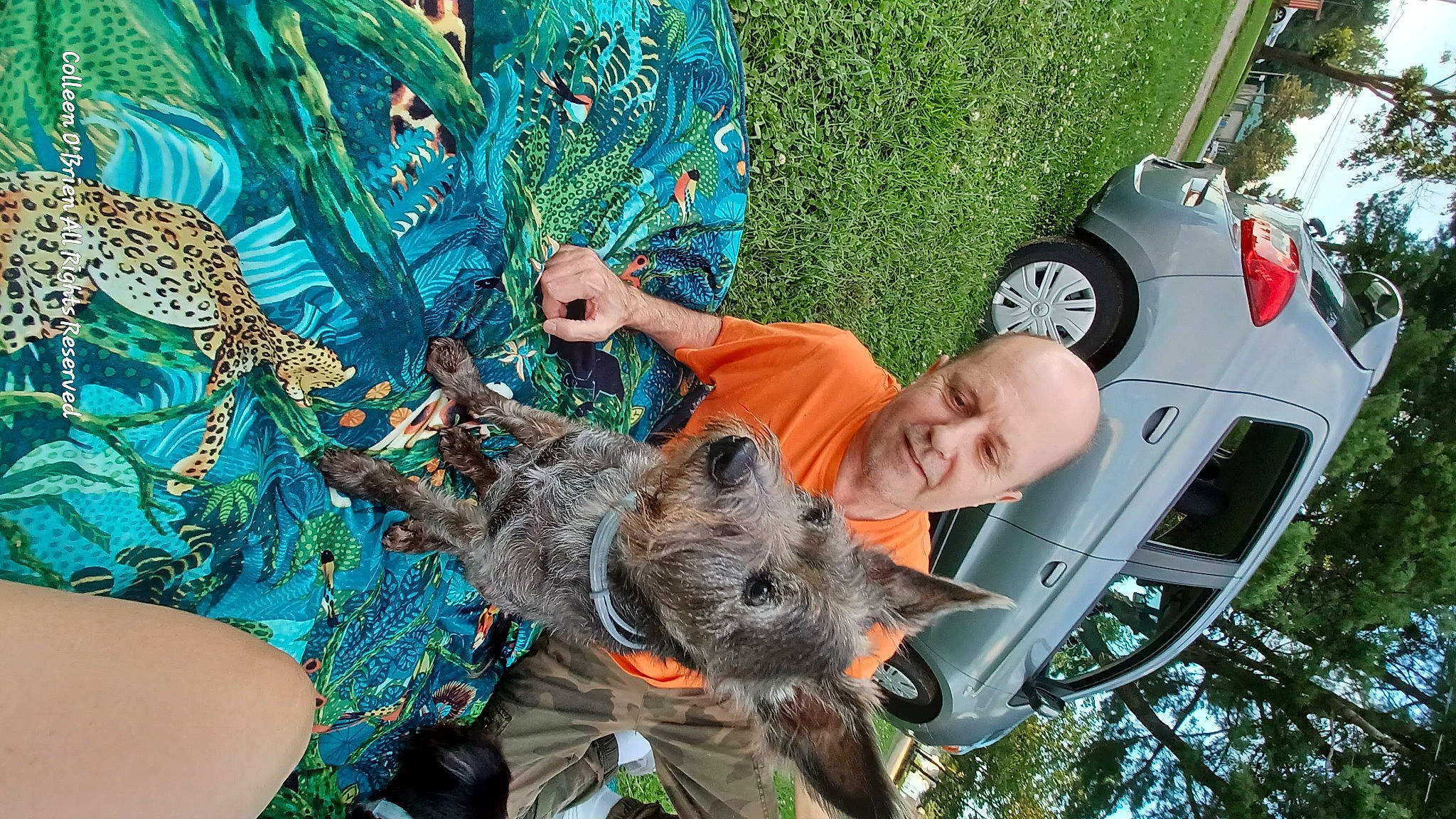 Brandee is registered to the contest to win money with this photo: bumper, car, carnivore, event, family_car, feather, fun, grass, green, leisure, motor_vehicle, plant, recreation, t_shirt, tire, toddler, tree, vehicle, vehicle_door, wheel