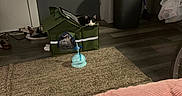 Emmie joined the competition — help win amazing prizes! cat, pet_house, indoor, door, trash_bin, broom, floor, rug, sunglasses, pink_blanket, shoes, plastic_bag, countertop, cup, plant, houseplant, door_lock, wall, shadow, corner