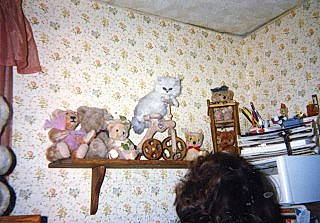 So is registered to the contest to win money with this photo: art, building, ceiling, chair, coffee_table, event, fawn, felidae, flooring, house, illustration, linens, metal, porcelain, room, small_to_medium_sized_cats, table, toy, visual_arts, wood