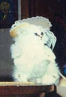 So is registered to the contest to win money with this photo: art, cloud, comfort_food, cumulus, event, font, fur, gas, sky, smoke, visual_arts