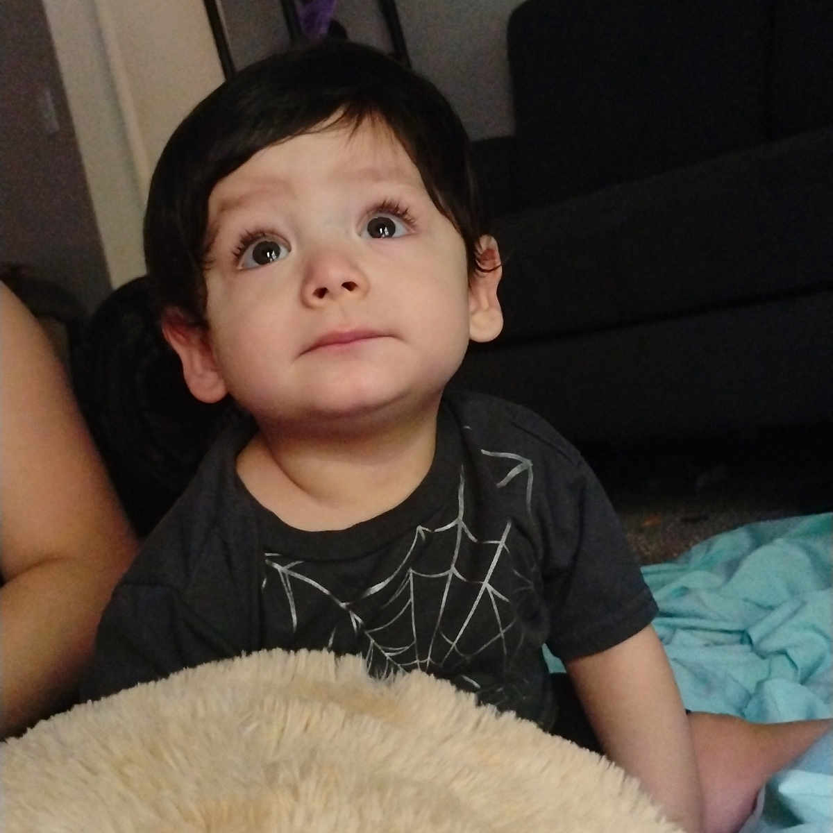 Anthony joined the competition — help win amazing prizes! black_shirt, blanket, casual, child, clothing, curious, cushion, cute, eyelashes, face, floor, hair, home, indoor, person, plush, sitting, sofa, soft, toddler