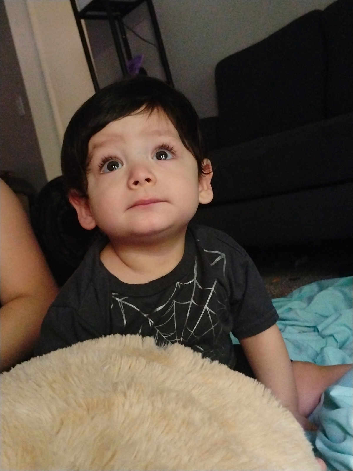 Anthony joined the competition — help win amazing prizes! toddler, child, indoor, blanket, plush, cushion, sofa, curious, sitting, person, face, hair, eyelashes, clothing, casual, floor, home, soft, cute, black_shirt