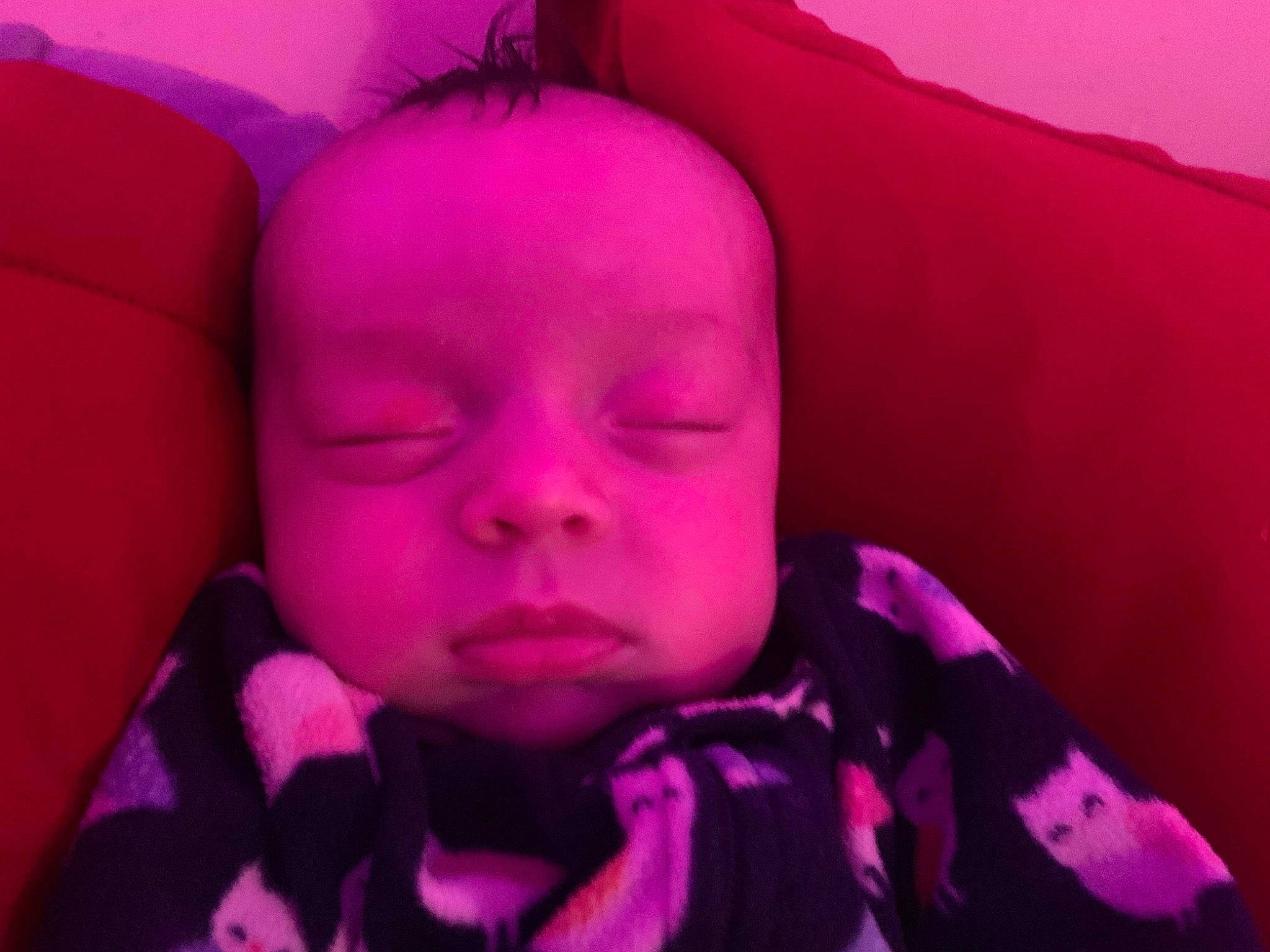 Brooklyn joined the competition — help win amazing prizes! baby, baby_toddler_clothing, carmine, cheek, child, comfort, eyelash, fun, happy, magenta, mouth, nose, person, petal, pink, purple, smile, textile, thumb, toddler