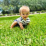 baby, child, grass, outdoor, sunny, smiling, crawling, greenery, nature, blue_sky, striped_shirt, shorts, happy, young, person, daylight, portrait, cute, head, eyes