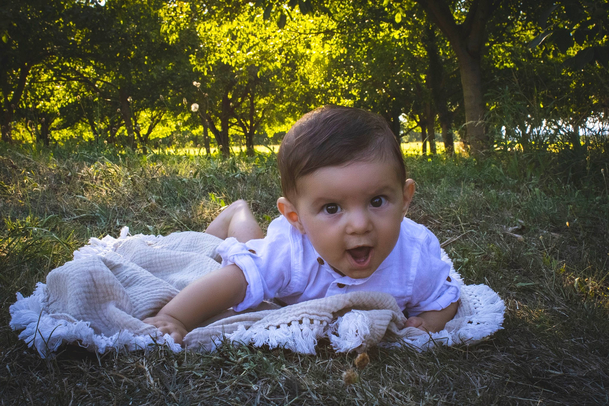 Wellan a rejoint le concours — aidez-le/la à gagner de superbes lots ! baby, baby_toddler_clothing, flash_photography, forest, fun, grass, grass_family, grassland, happy, lawn, meadow, people_in_nature, person, plant, sitting, sunlight, tints_and_shades, toddler, tree, wood