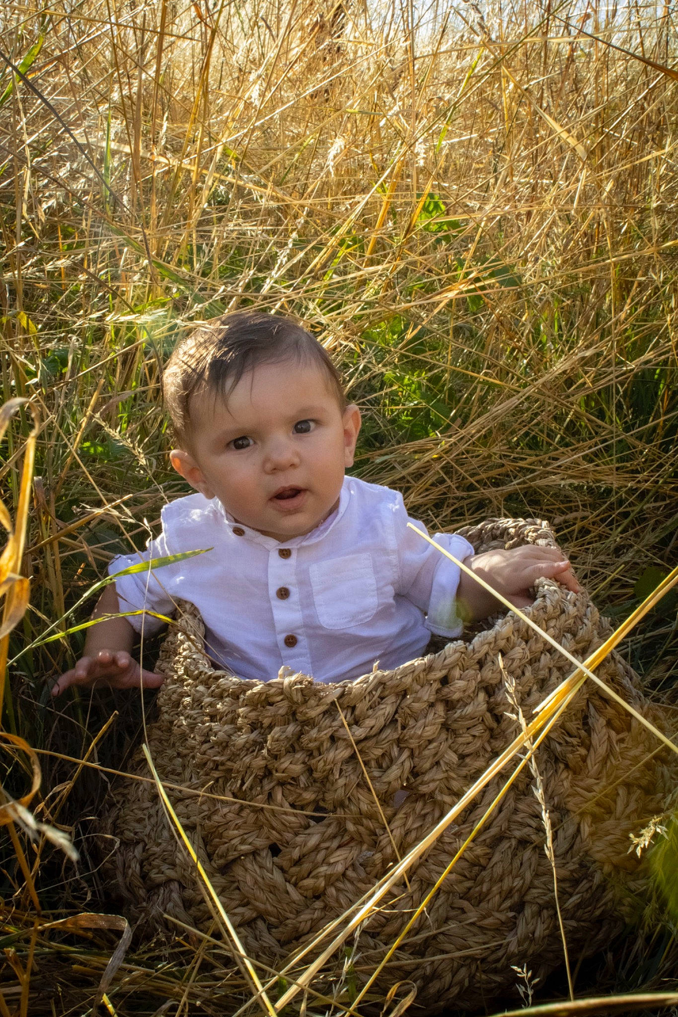 Wellan a rejoint le concours — aidez-le/la à gagner de superbes lots ! baby, baby_toddler_clothing, child, grass, grass_family, grassland, happy, meadow, natural_landscape, people_in_nature, person, plant, portrait_photography, prairie, sitting, soil, spring, toddler, twig, wood