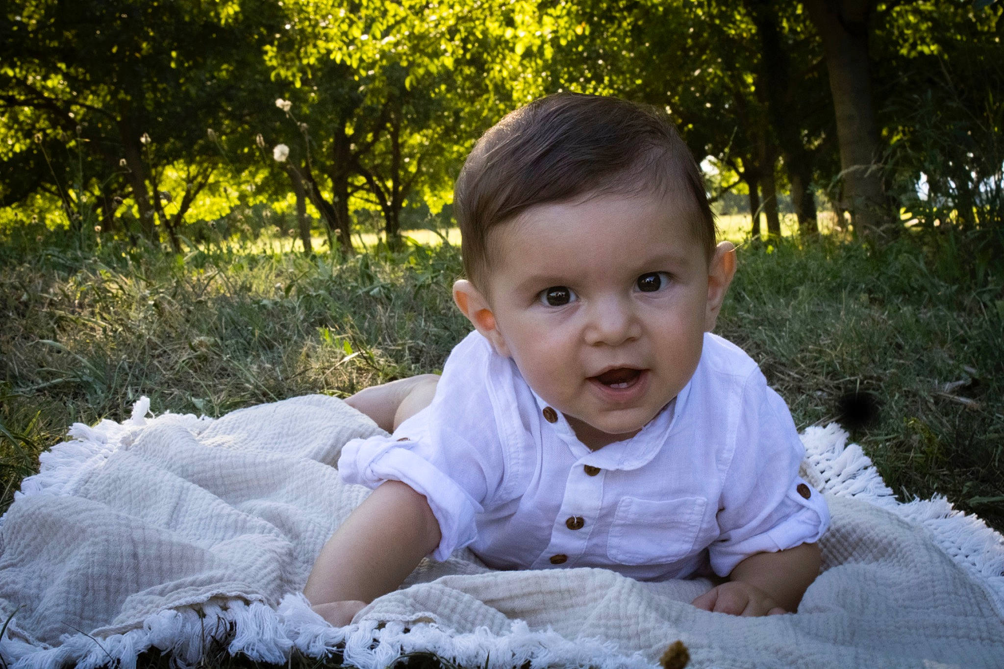 Wellan a rejoint le concours — aidez-le/la à gagner de superbes lots ! baby, baby_toddler_clothing, child, dress, flash_photography, grass, grass_family, happy, leaf, leisure, meadow, people_in_nature, person, plant, sitting, skin, smile, toddler, tree, wood