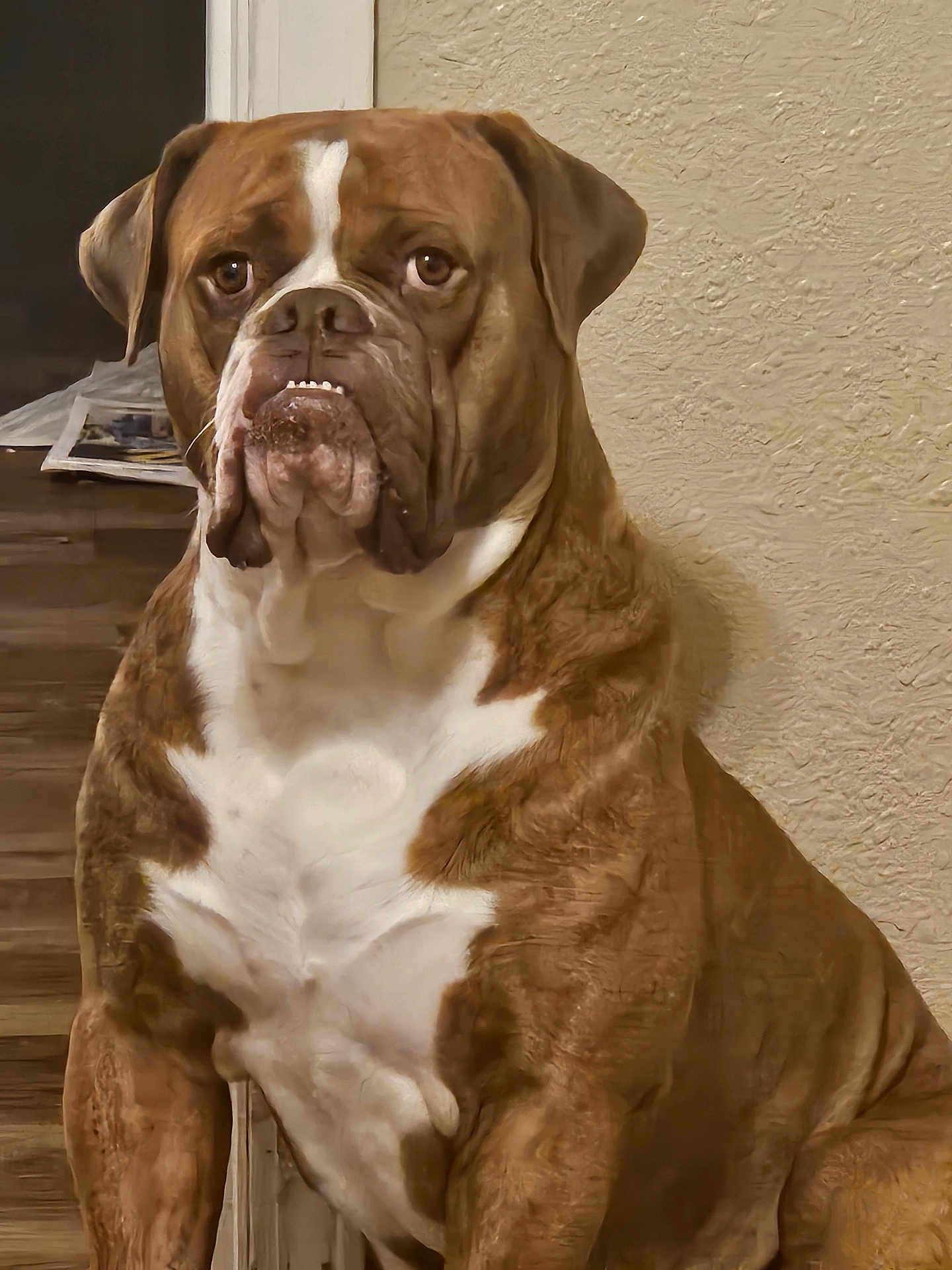 Hank