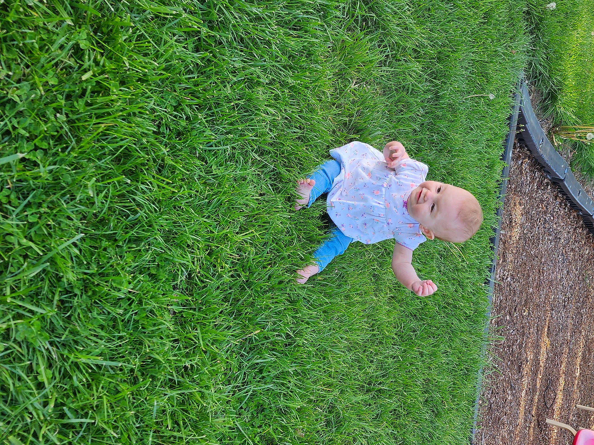 Luna-jane joined the competition — help win amazing prizes! baby_toddler_clothing, child, fun, garden, grass, grass_family, grassland, groundcover, happy, landscape, lawn, leisure, meadow, people_in_nature, person, plant, shrub, soil, terrestrial_plant, toddler