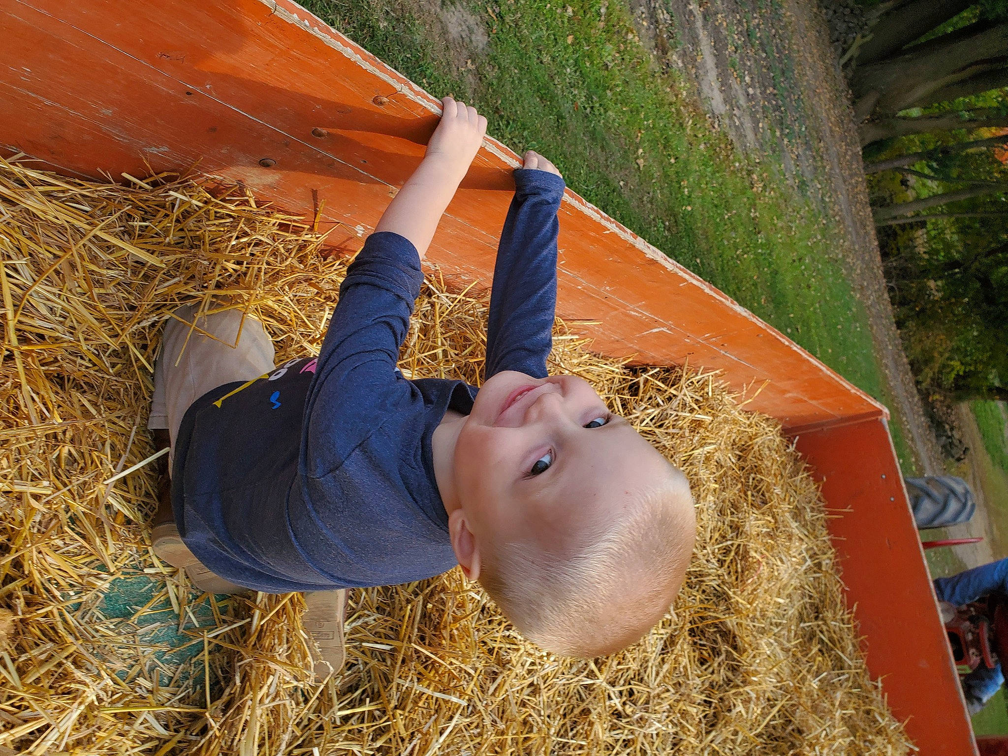 Robby joined the competition — help win amazing prizes! fodder, hay, joy, person, straw