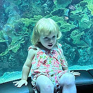 Serenity is registered to the contest to win money with this photo: child, blonde_hair, floral_outfit, sitting, bench, aquarium, coral, marine_life, underwater, curious, indoor, portrait, young, pink, green, sea_creatures, water, face, person, light