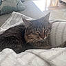 Ava is registered to the contest to win money with this photo: