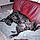 Tayson