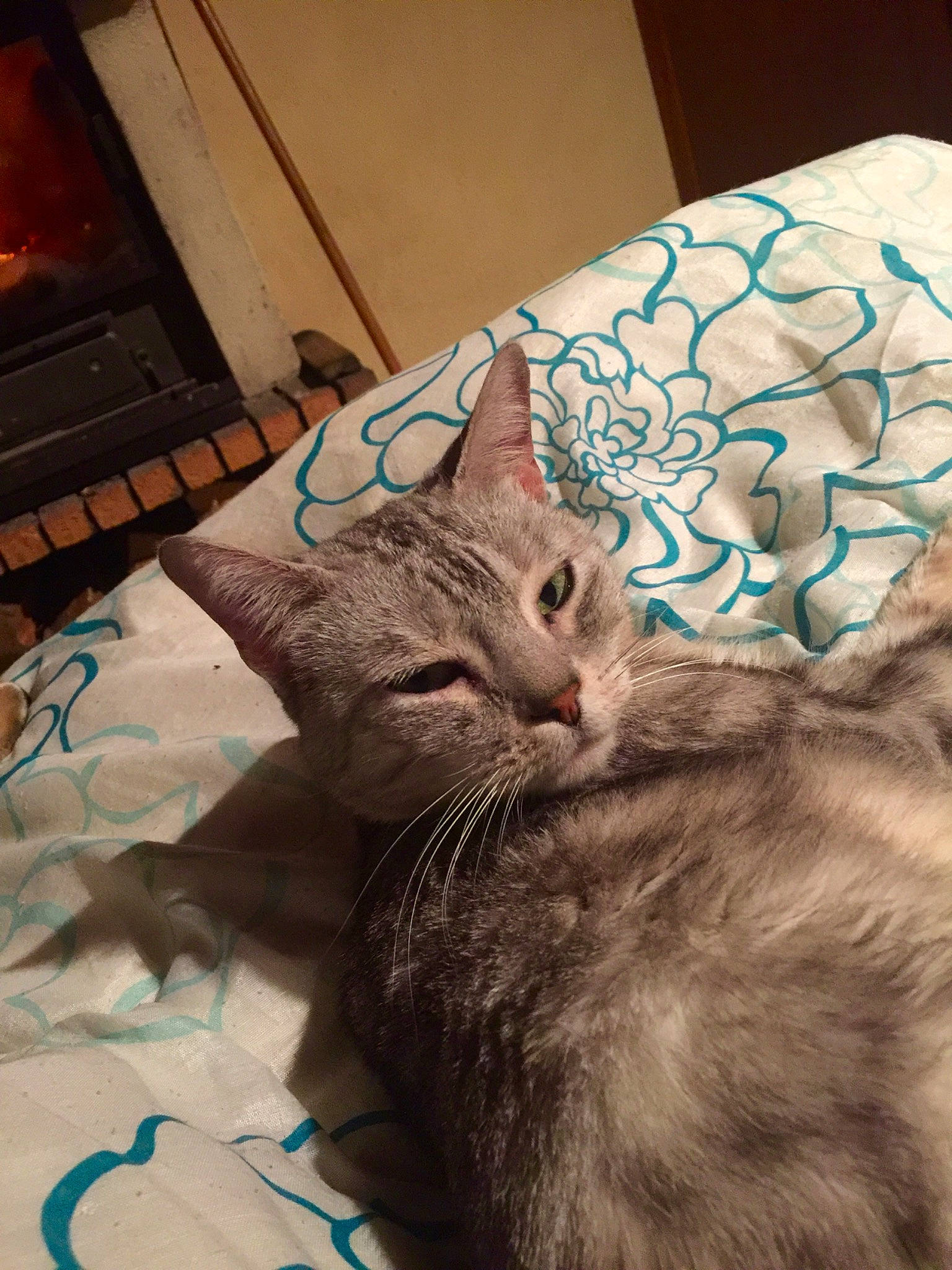 Gandja participe au concours pour gagner de l'argent avec cette photo : bed, carnivore, cat, claw, comfort, domestic_short_haired_cat, felidae, flooring, fur, gas_stove, home_appliance, kitchen_appliance, linens, mammal, small_to_medium_sized_cats, snout, stove, tail, textile, whiskers