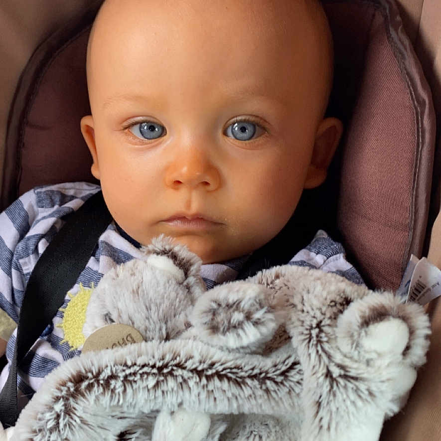 Sergio participe au concours pour gagner de l'argent avec cette photo : baby, blanket, blue_eyes, calm, car_seat, child, close_up, curious, cute, face, head, indoor, infant, person, portrait, seatbelt, skin, soft_toy, striped_shirt, young