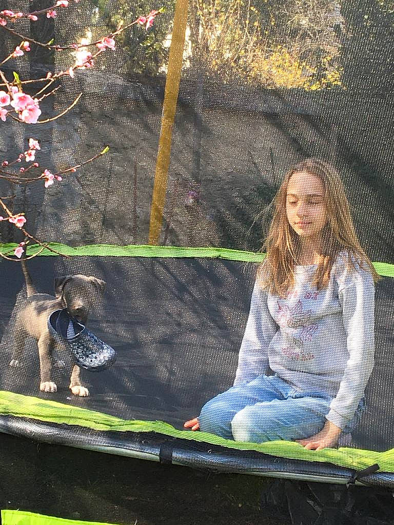 Billy a rejoint le concours — aidez-le/la à gagner de superbes lots ! beauty, black, botany, flash_photography, fun, grass, happy, leaf, leisure, mammal, nature, people_in_nature, plant, recreation, sitting, spring, tints_and_shades, tree, vertebrate, woody_plant