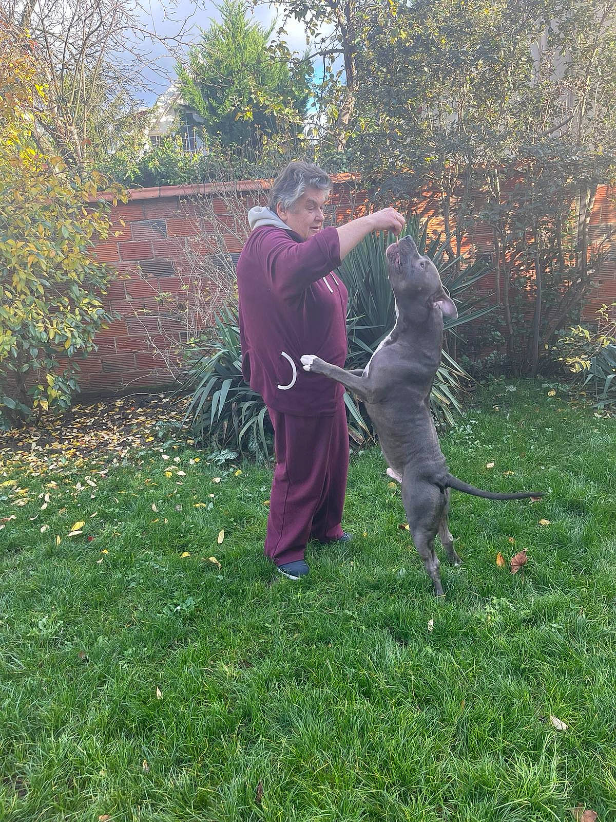 Billy a rejoint le concours — aidez-le/la à gagner de superbes lots ! art, backyard, event, garden, gesture, grass, grassland, groundcover, landscape, landscaping, lawn, pasture, people_in_nature, plant, sculpture, shrub, tints_and_shades, tree, yard